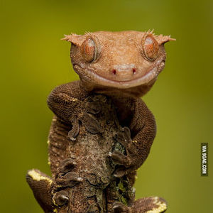 Meet your Posher, Rissa